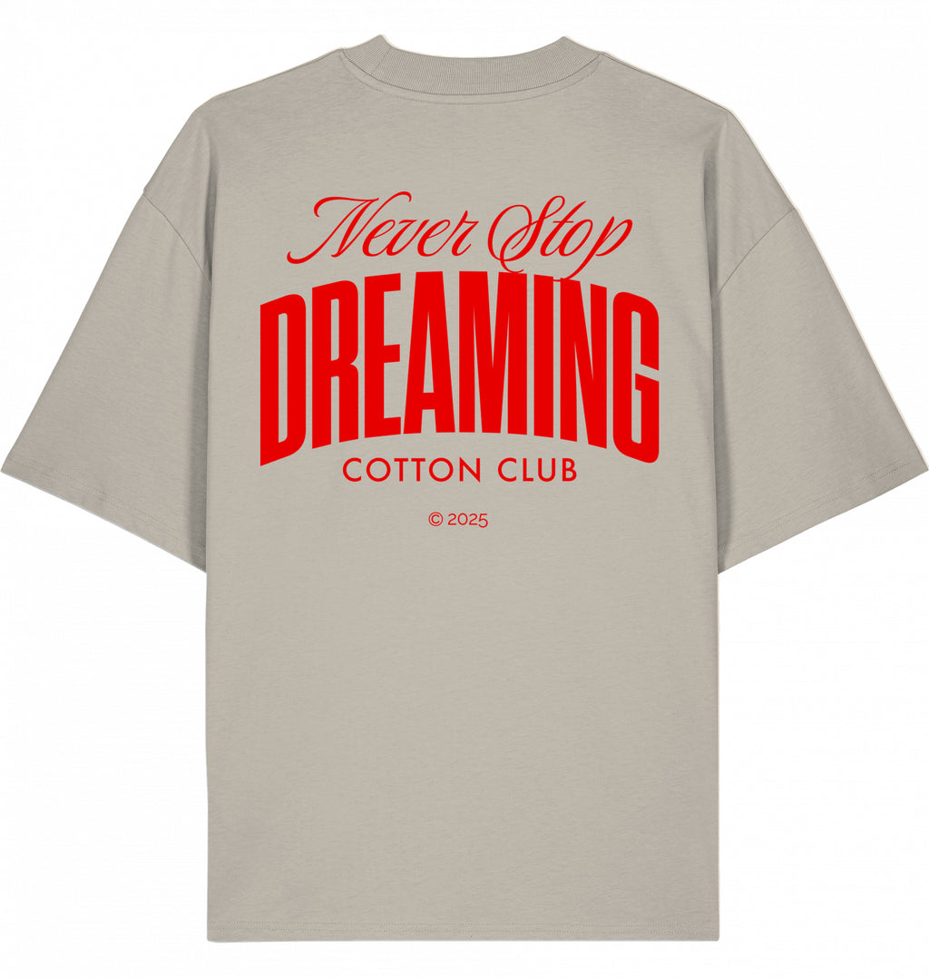 NEVER STOP DREAMING OVERSIZED BIO TEE