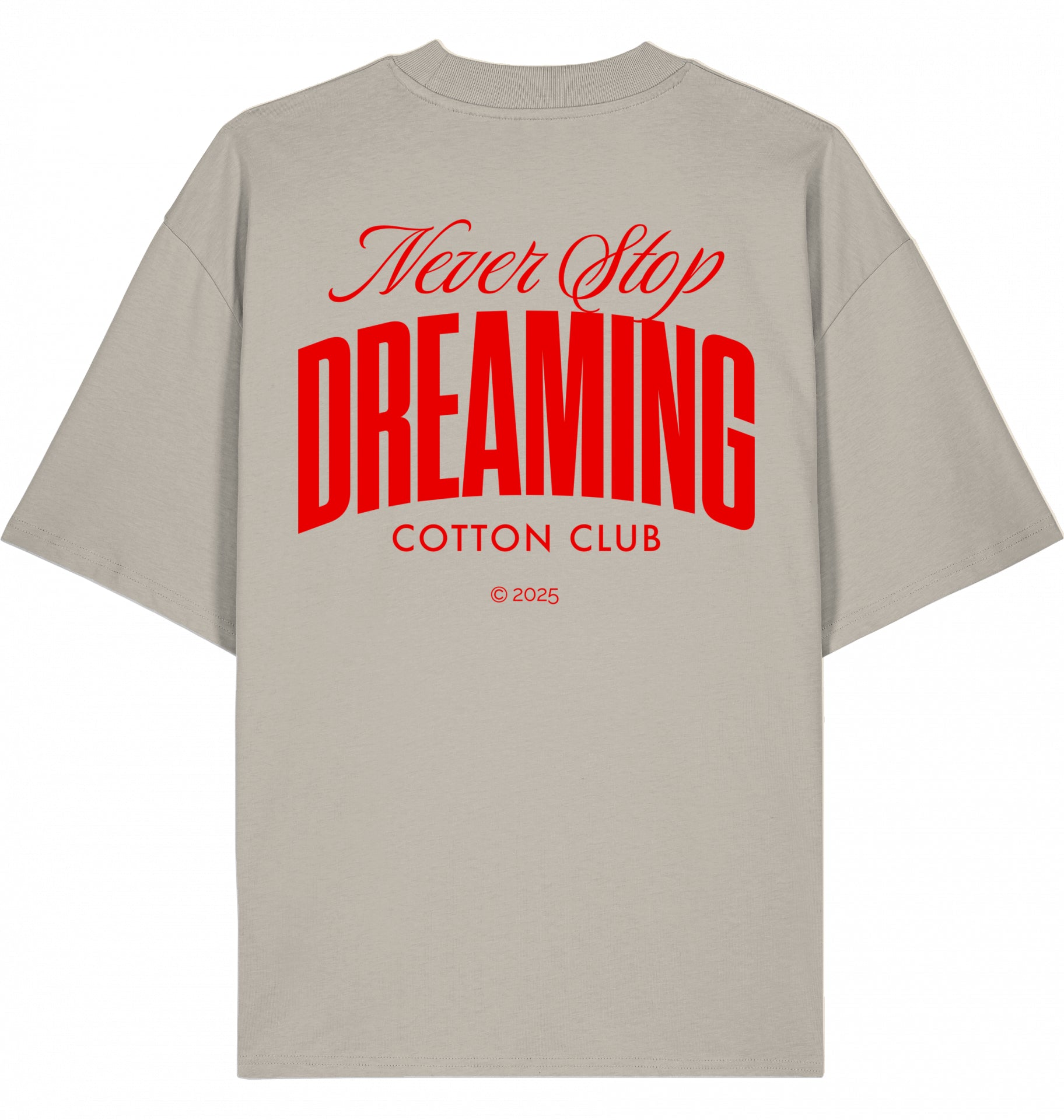 NEVER STOP DREAMING OVERSIZED BIO TEE