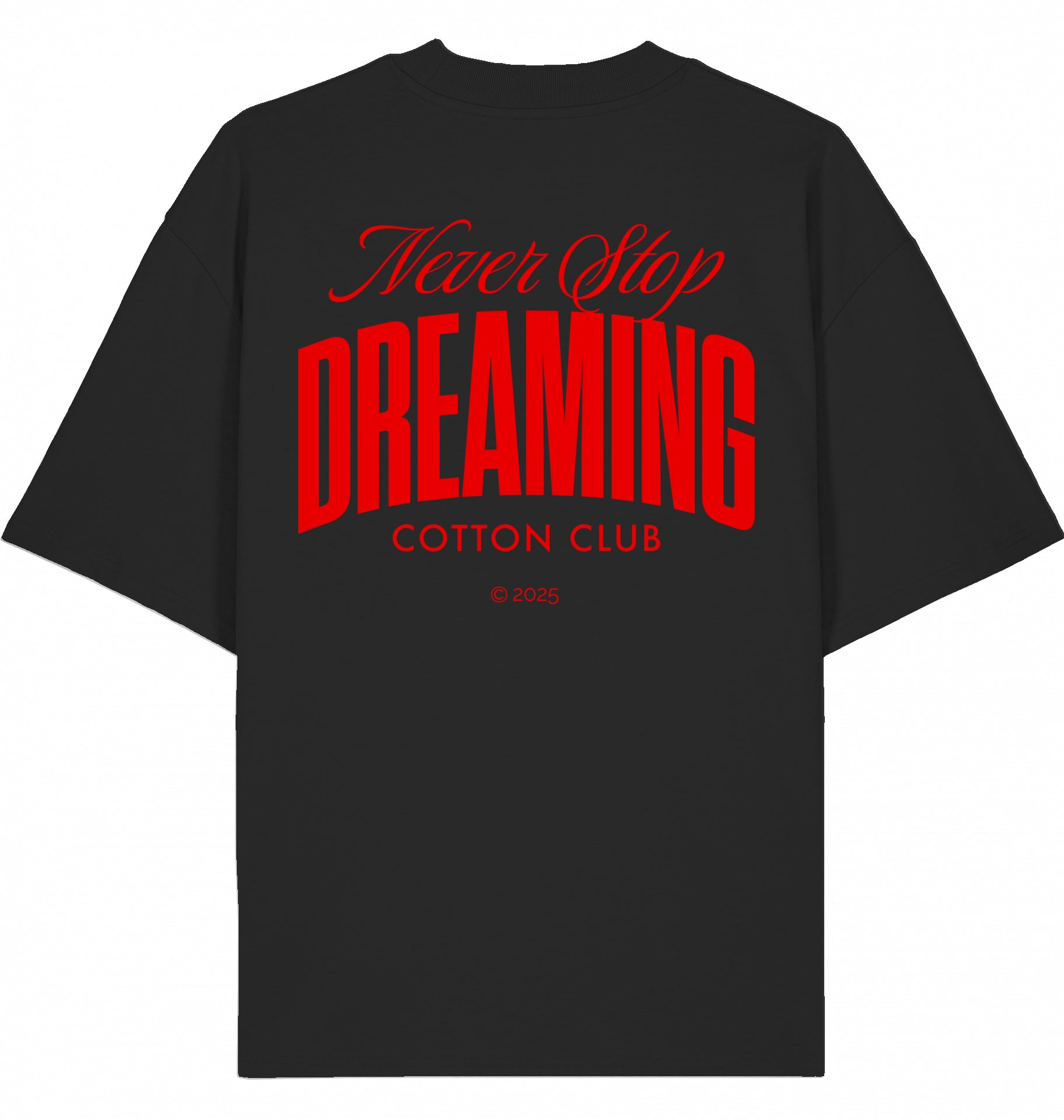 NEVER STOP DREAMING OVERSIZED BIO TEE