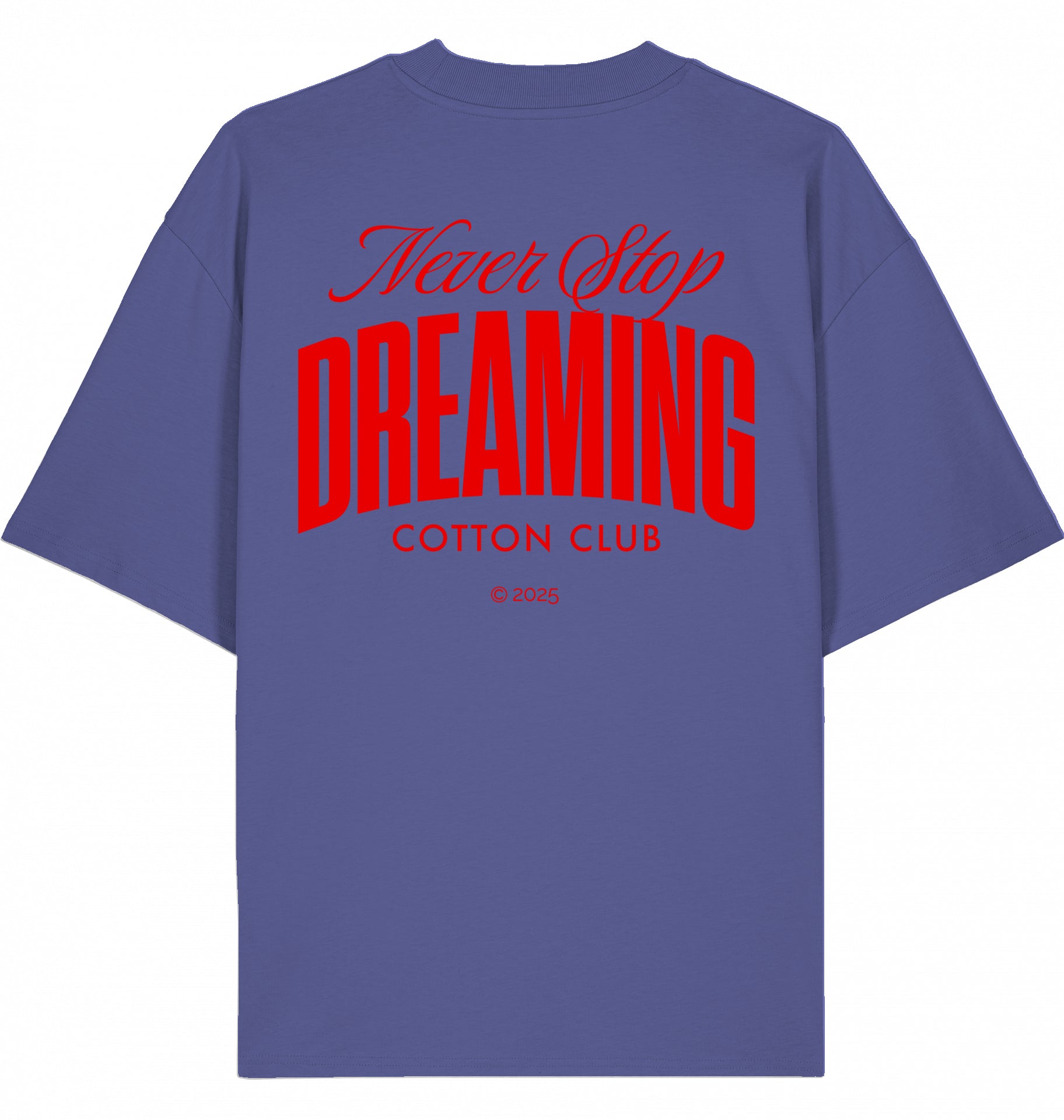 NEVER STOP DREAMING OVERSIZED BIO TEE