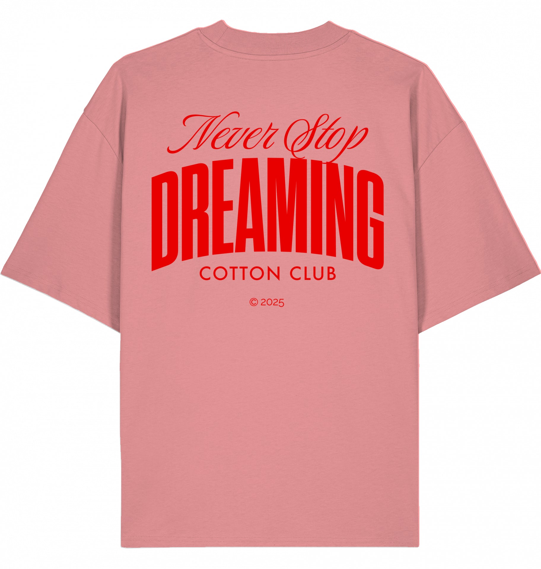 NEVER STOP DREAMING OVERSIZED BIO TEE