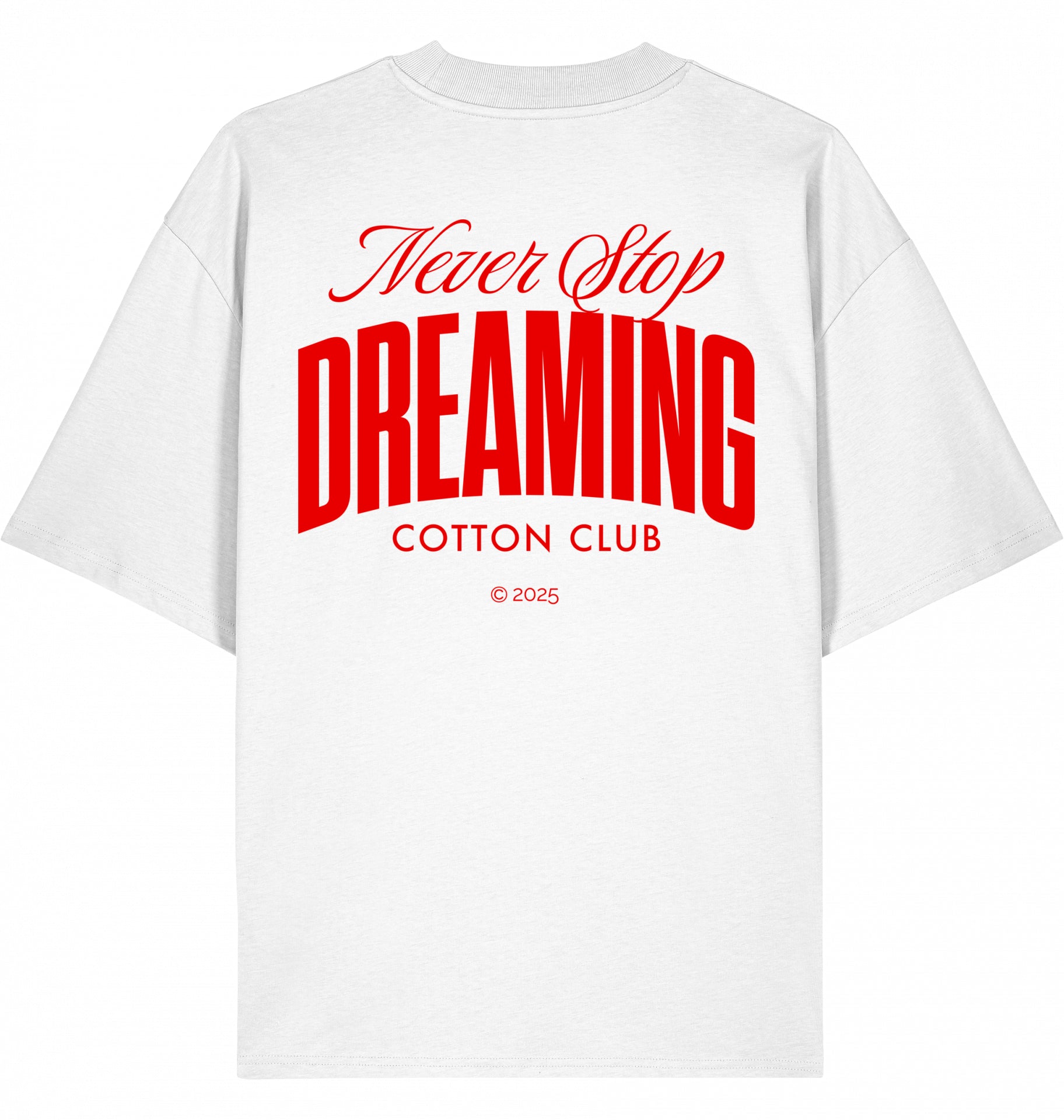 NEVER STOP DREAMING OVERSIZED BIO TEE