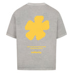 Image for color: washed grey