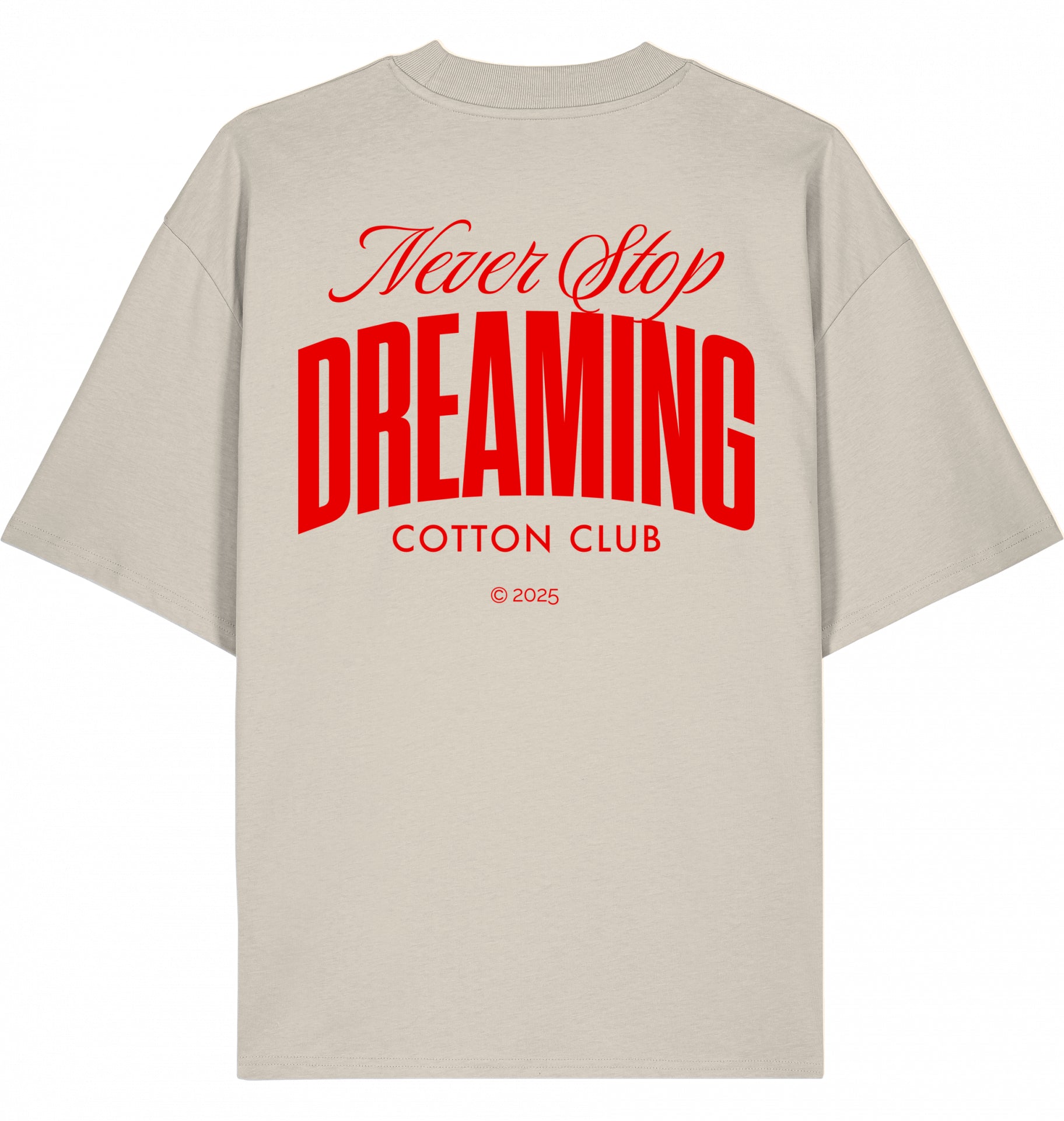 NEVER STOP DREAMING OVERSIZED BIO TEE