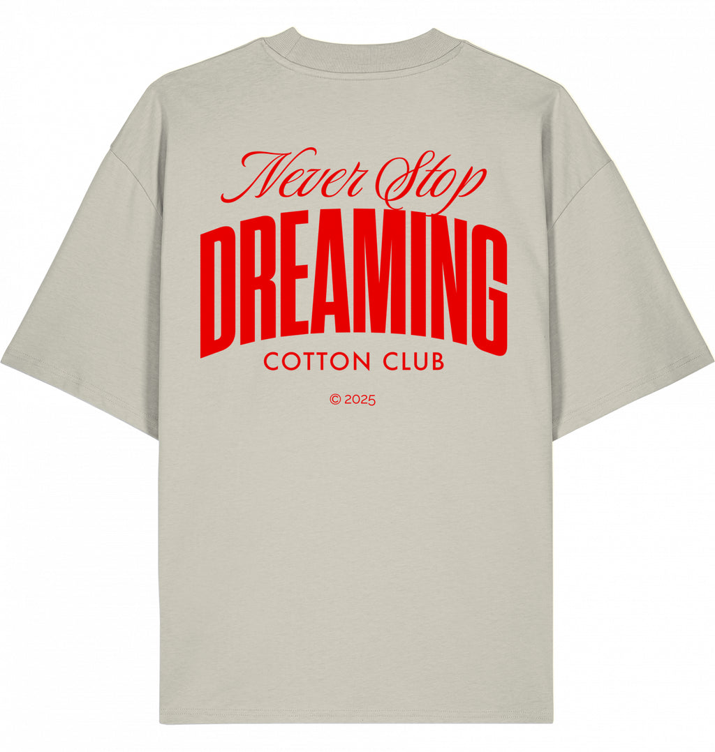 NEVER STOP DREAMING OVERSIZED BIO TEE