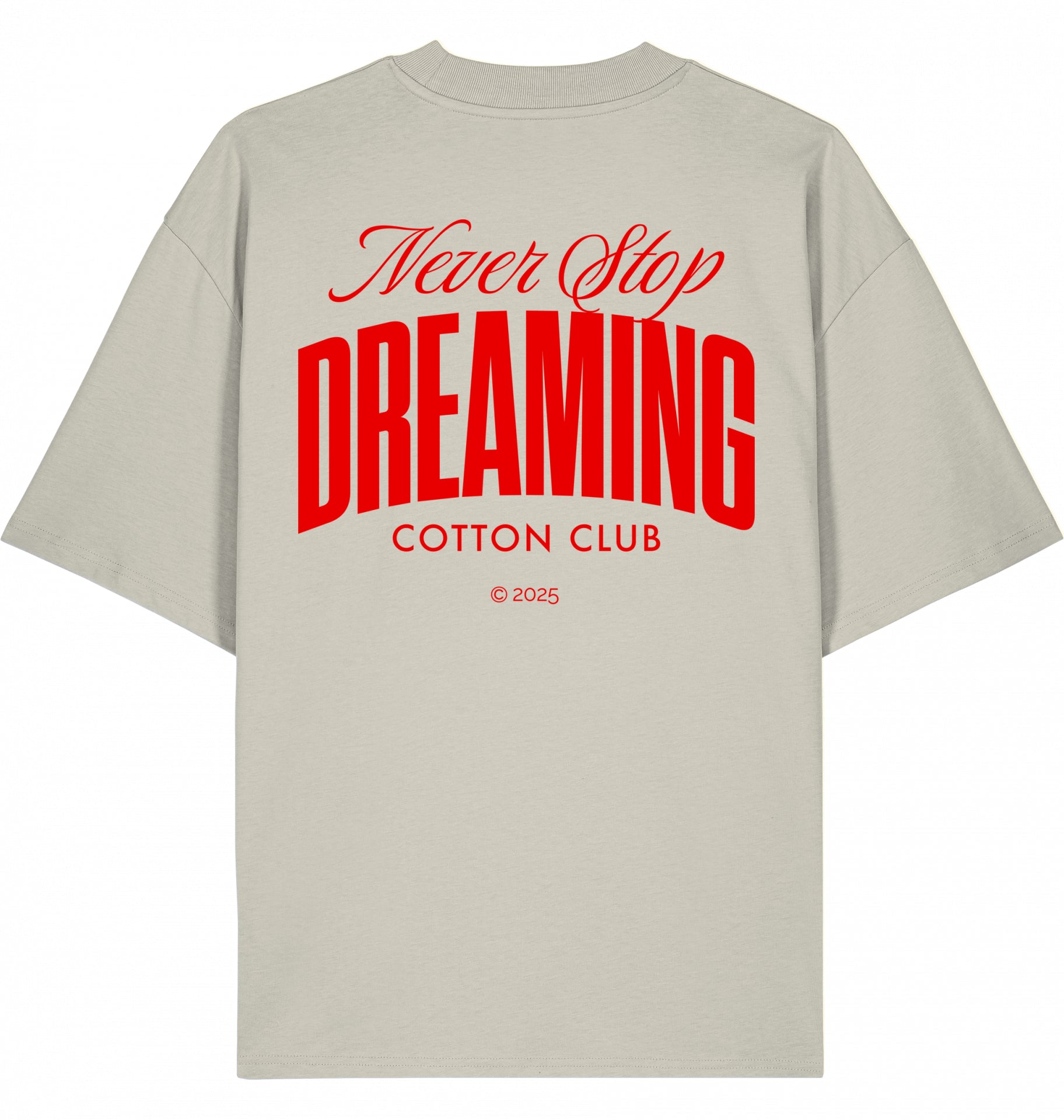 NEVER STOP DREAMING OVERSIZED BIO TEE