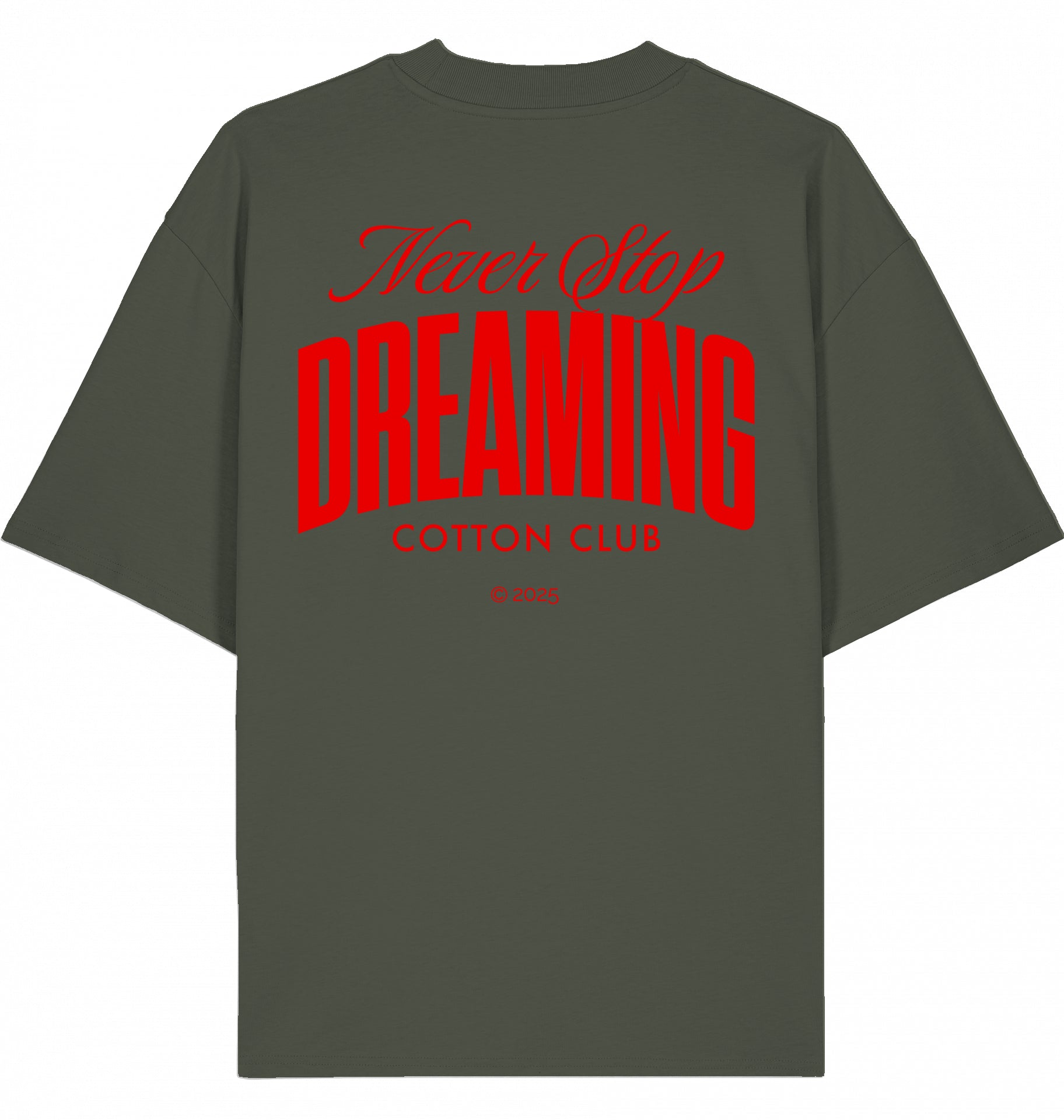 NEVER STOP DREAMING OVERSIZED BIO TEE