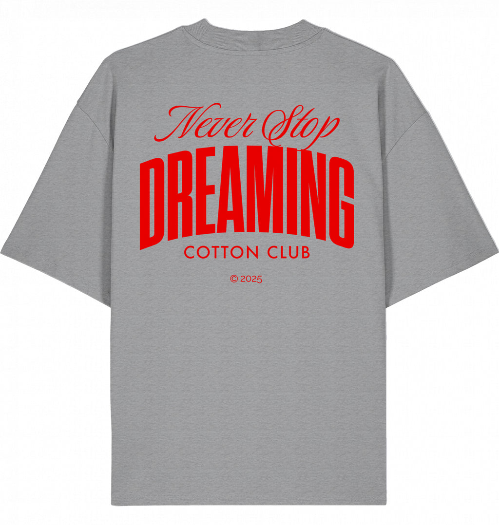 NEVER STOP DREAMING OVERSIZED BIO TEE