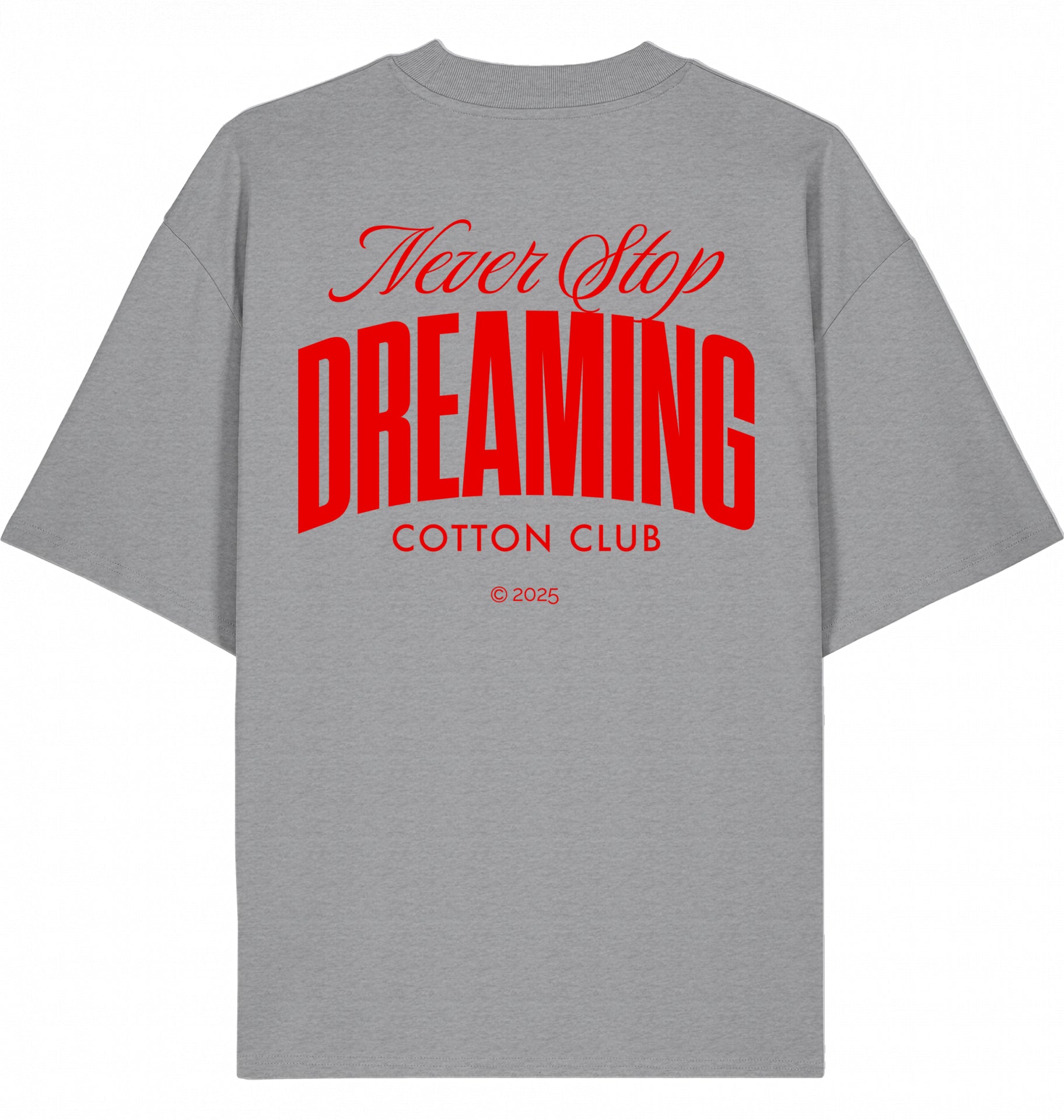 NEVER STOP DREAMING OVERSIZED BIO TEE