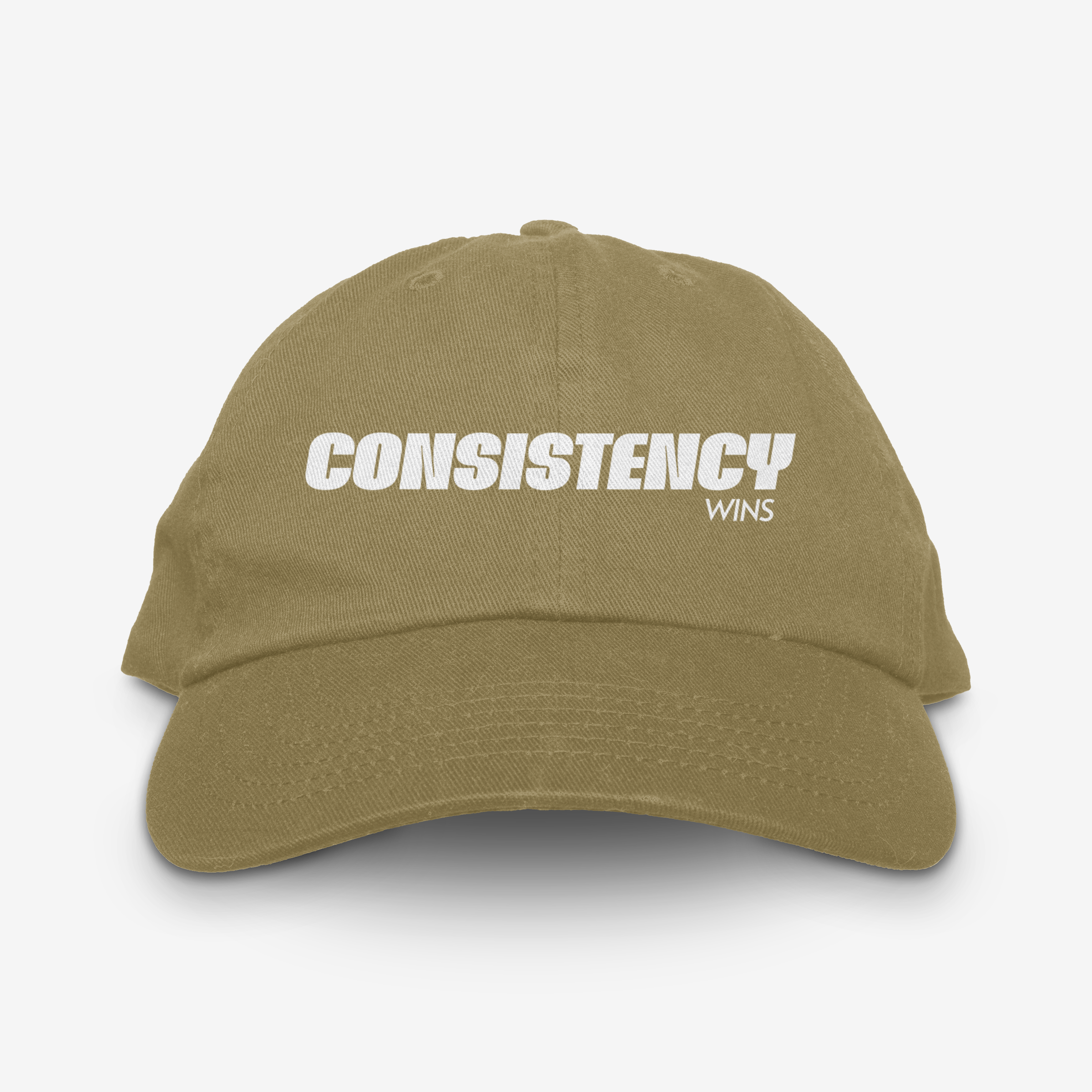 CONSISTENCY WINS 6 PANEL CAP