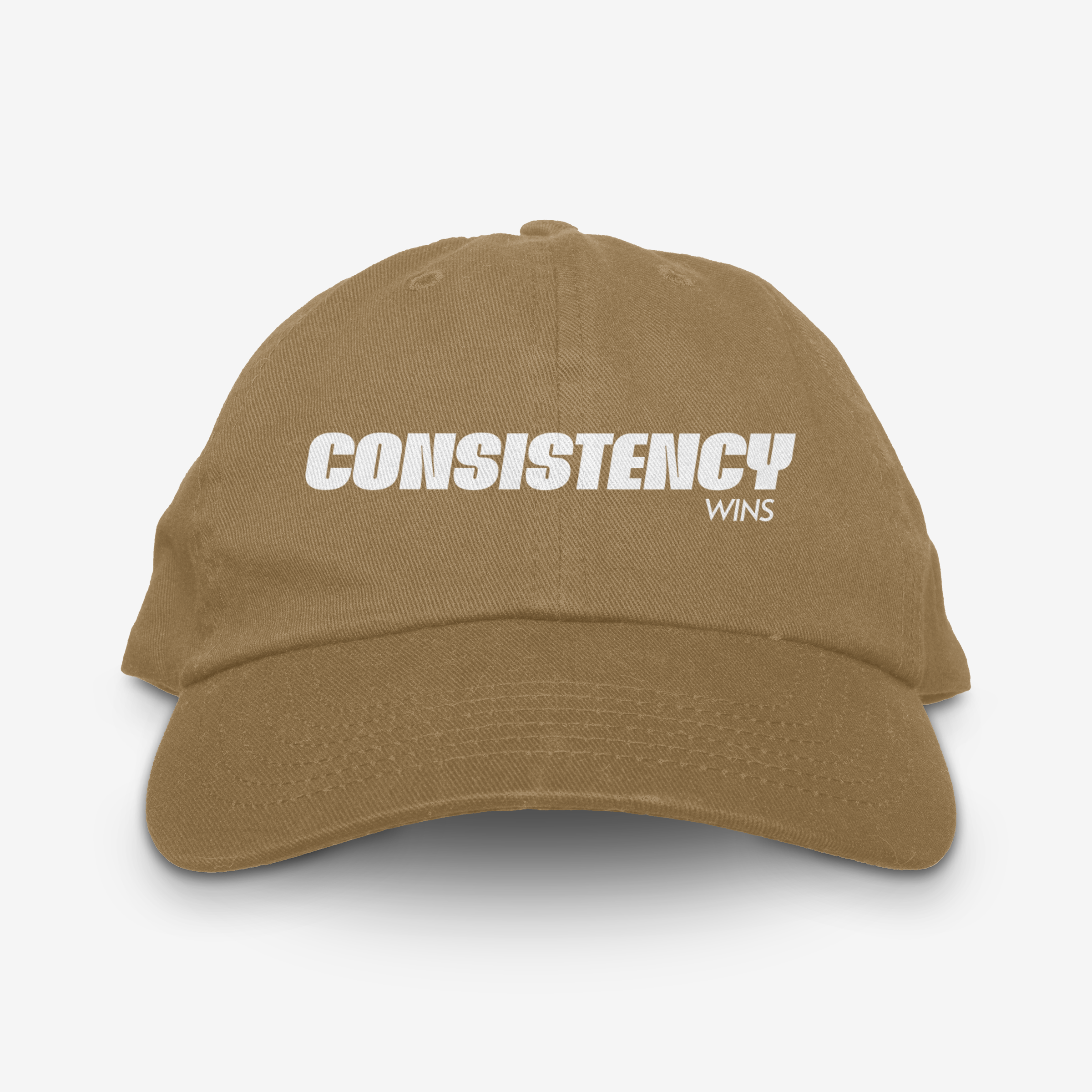 CONSISTENCY WINS 6 PANEL CAP